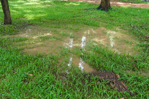 Storm Water Drainage Service in Goodyear