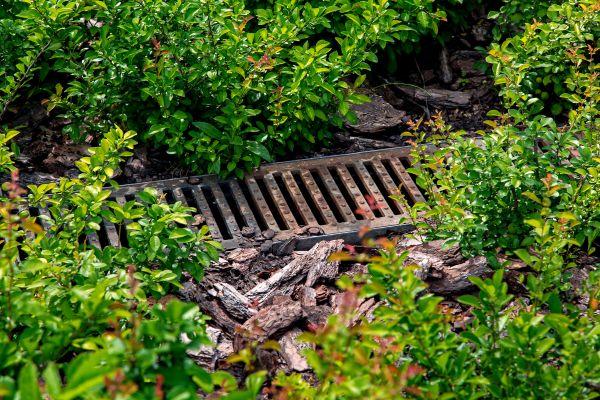 Underground Drainage Service in Goodyear