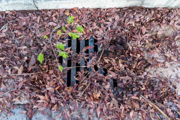 Yard Drain Unclogging in Goodyear