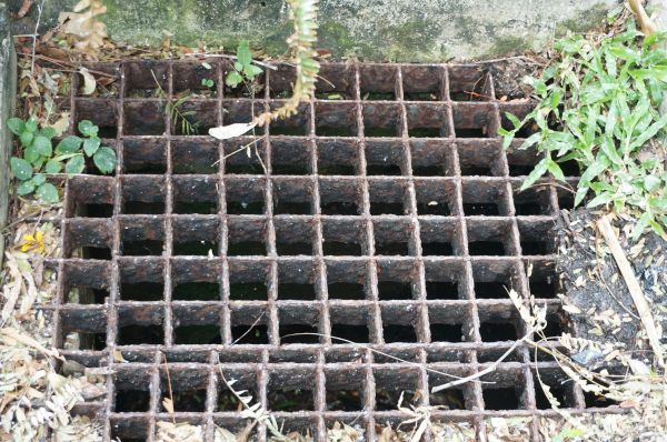 Yard Drain Cleaning in Goodyear