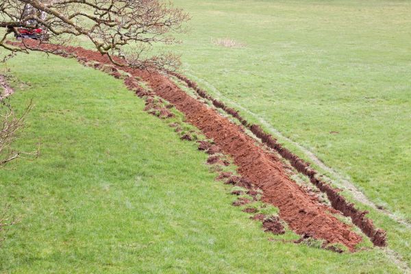 Cost of Swale Installation in Goodyear