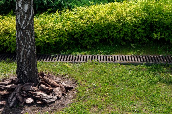 Garden Drainage Installation in Goodyear