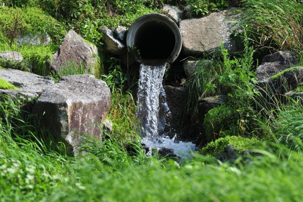 Water Redirection in Goodyear