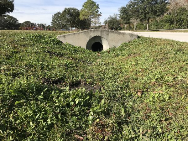 Cost of Swale Drainage Service in Goodyear